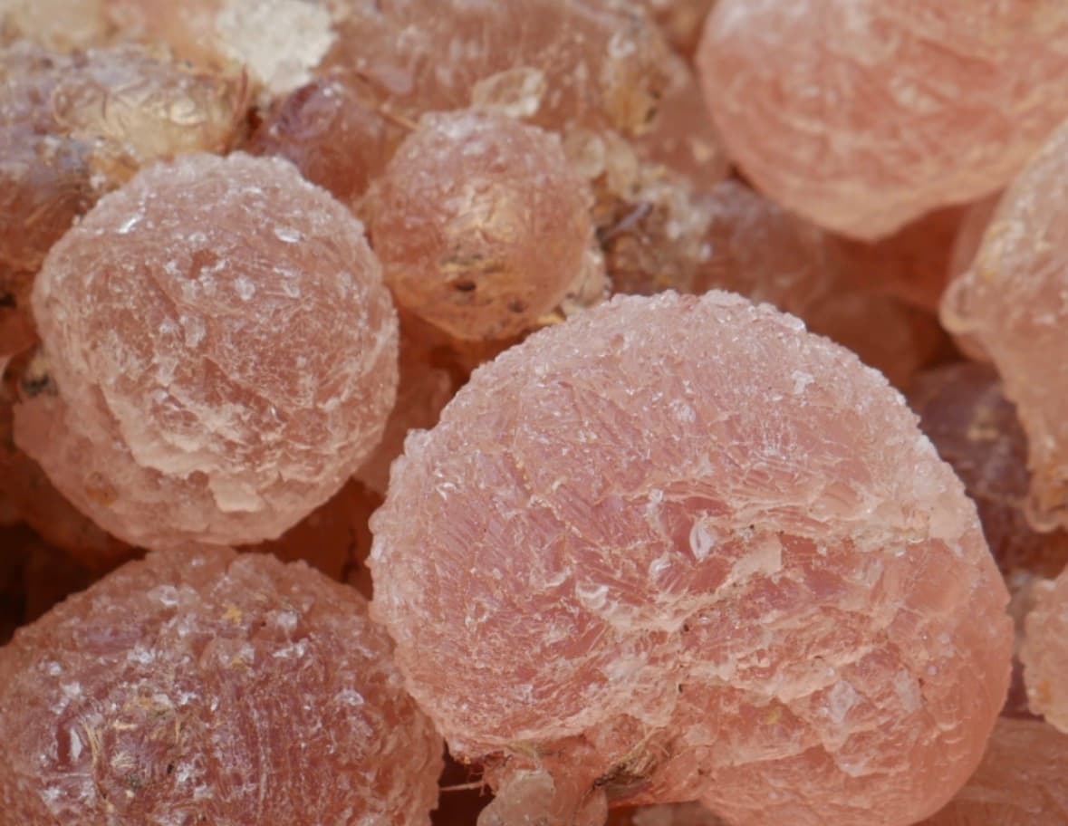 Macro view of translucent pinkish-brown resin nodules with a rough, crystalline and globular surface.